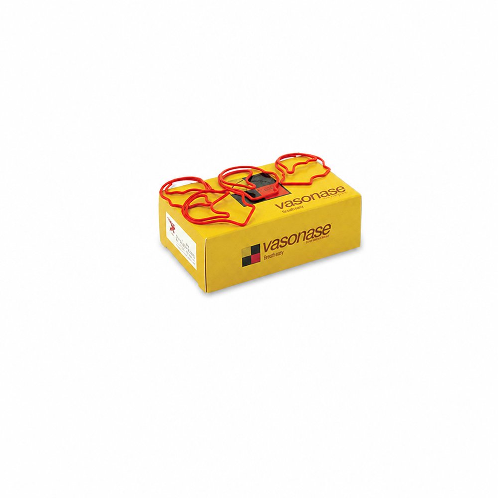 Custom Shaped Paper Clips in Branded Box of 25