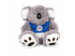 Fluffy Koala