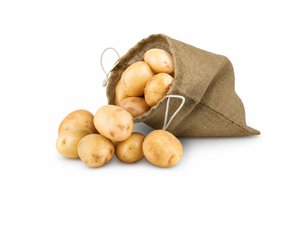 Enviro Jute Produce Bags (Medium)