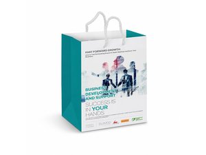 Paper Bags - Laminated Colour Printed (Medium)