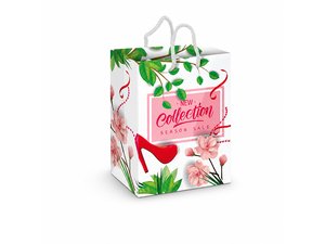 Paper Bags - Laminated Colour Printed (Large)