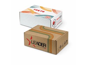 Die Cut Box with Locking Lid (360x260x134mm)