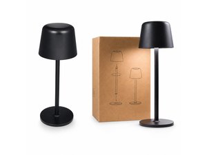 Recycled Mini Desk Lamps (Rechargeable)